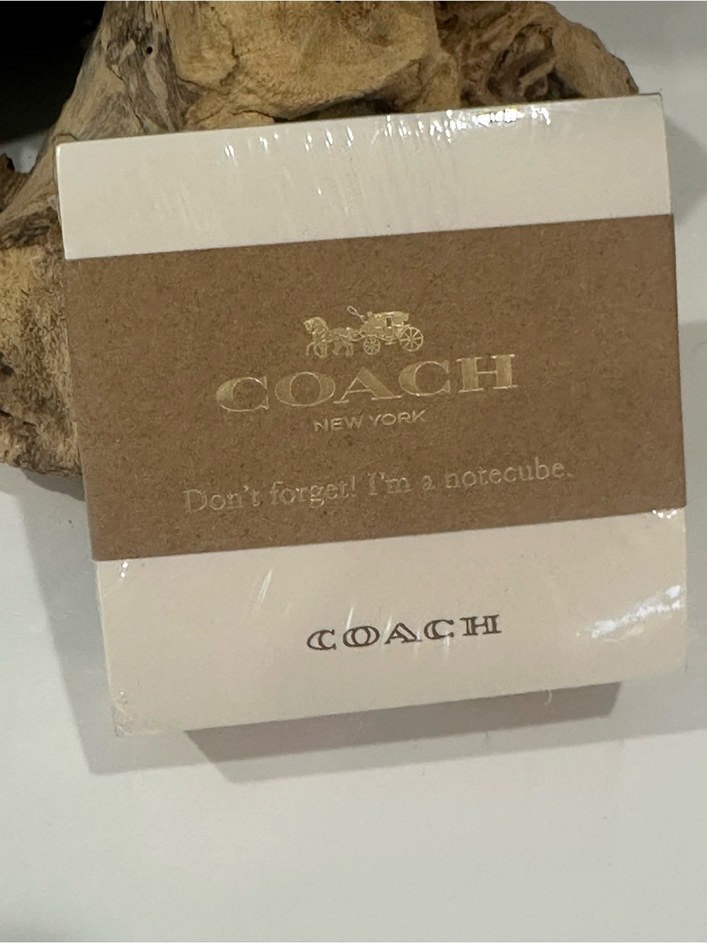 COACH Cream Note Cube with Branded Sleeve